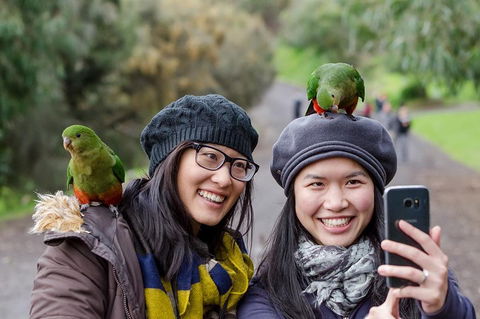 Small-Group Great Ocean Road And 12 Apostles Full-Day Tour From Melbourne - Accommodation Rockhampton 0