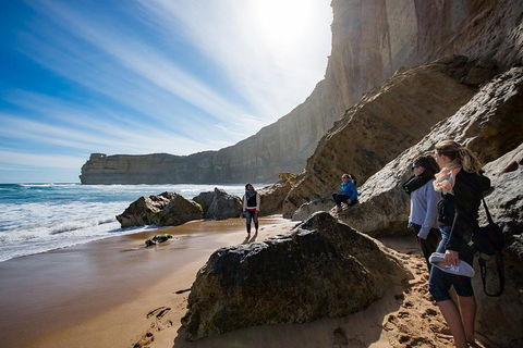 Small-Group Great Ocean Road And 12 Apostles Full-Day Tour From Melbourne - Accommodation Rockhampton 1