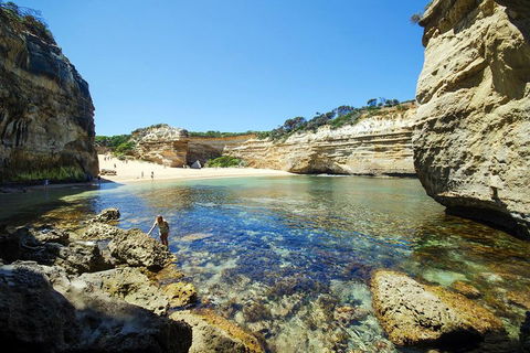 Small-Group Great Ocean Road And 12 Apostles Full-Day Tour From Melbourne - Accommodation Rockhampton 5