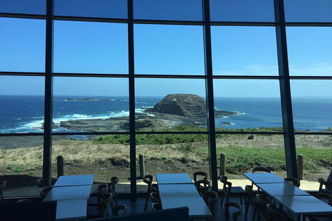Small-Group Phillip Island Day Trip From Melbourne With Penguin Plus Viewing - Accommodation Rockhampton 5