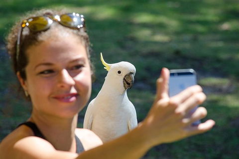 Small-Group Great Ocean Road Experience And Surf Coast Tour - Accommodation Rockhampton 3