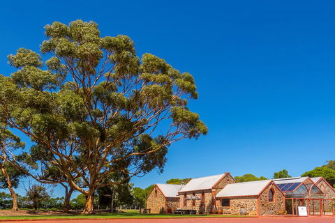 McLaren Vale And Glenelg Wine Tasting And Sightseeing (Half-day Afternoon) - Accommodation Rockhampton 5