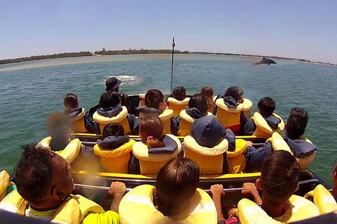 Jet Boat Express Ride - 30mins - Accommodation Rockhampton 5