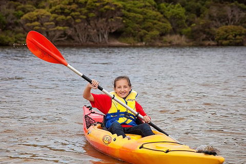 Kangaroo Island Self-Guided Kayaking On The Harriet River - Accommodation Rockhampton 1