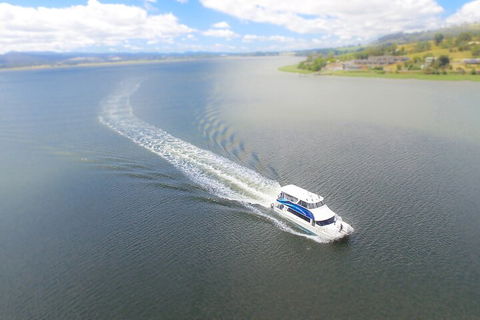 2.5 Hour Afternoon Discovery Cruise Including Cataract Gorge Departs At 1: 30 Pm - Accommodation Rockhampton 0