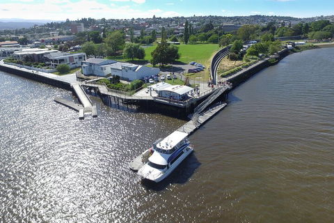 2.5 Hour Afternoon Discovery Cruise Including Cataract Gorge Departs At 1: 30 Pm - Accommodation Rockhampton 3