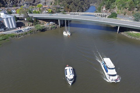 2.5 Hour Afternoon Discovery Cruise Including Cataract Gorge Departs At 1: 30 Pm - Accommodation Rockhampton 5