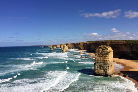 Great Ocean Road Reverse Itinerary Tour - Accommodation Rockhampton 4