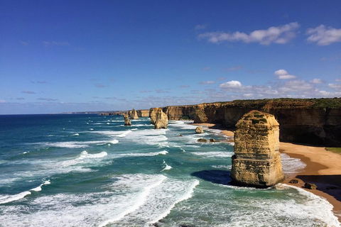 Great Ocean Road Reverse Itinerary PREMIUM Tour - Accommodation Rockhampton 2