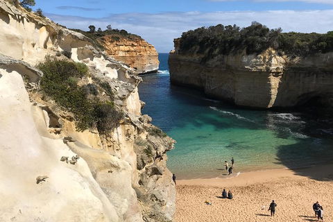 Great Ocean Road Reverse Itinerary PREMIUM Tour - Accommodation Rockhampton 3