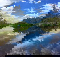 Noosa Everglades Serenity Cruise  Highlights Tour Inc. Lunch  Cruise - Accommodation Rockhampton