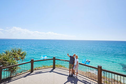 Noosa Everglades Serenity Cruise & Highlights Tour Inc. Lunch & Cruise - Accommodation Rockhampton 3