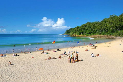 Noosa Everglades Serenity Cruise & Highlights Tour Inc. Lunch & Cruise - Accommodation Rockhampton 4