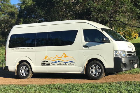 Noosa Everglades Serenity Cruise & Highlights Tour Inc. Lunch & Cruise - Accommodation Rockhampton 5