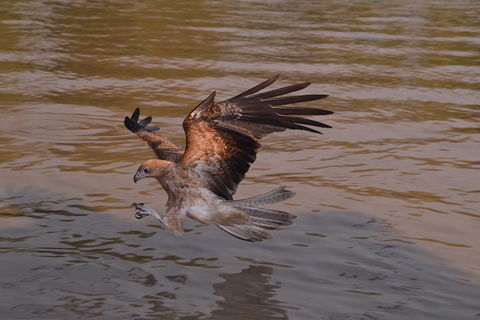 Litchfield And Jumping Crocodiles Full Day Trip From Darwin - Accommodation Rockhampton 0