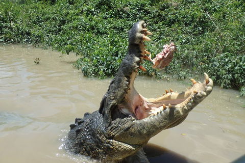 Litchfield And Jumping Crocodiles Full Day Trip From Darwin - Accommodation Rockhampton 3