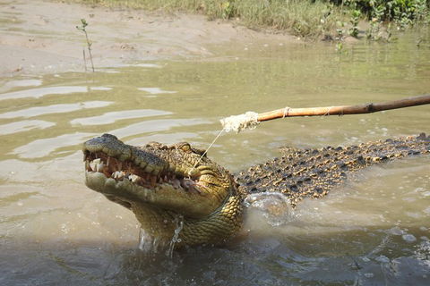 Litchfield And Jumping Crocodiles Full Day Trip From Darwin - Accommodation Rockhampton 4