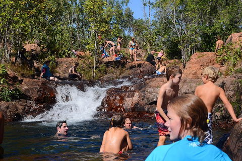 Litchfield And Jumping Crocodiles Full Day Trip From Darwin - Accommodation Rockhampton 5