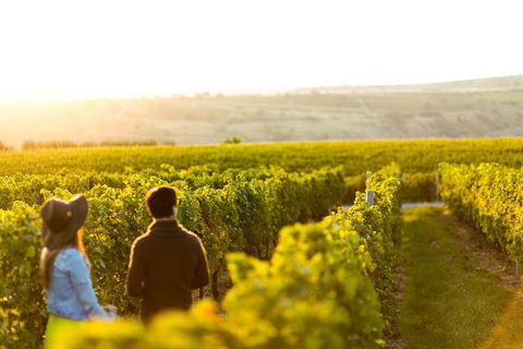 Margaret River Private Tour - Accommodation Rockhampton 2