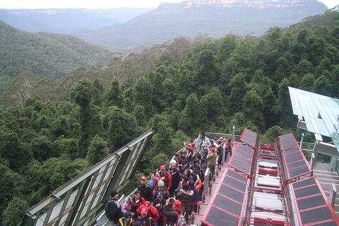 Blue Mountains Private Tour With Wildlife Park And River Cruise - Accommodation Rockhampton 1