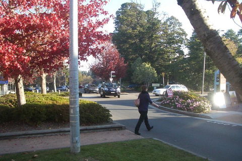 PRIVATE All-Day Blue Mountains Tour With Professional Guide For Up To 4 People - Accommodation Rockhampton 1