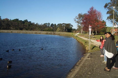 PRIVATE All-Day Blue Mountains Tour With Professional Guide For Up To 4 People - Accommodation Rockhampton 2