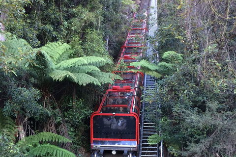 Blue Mountains Private Full-Day Tour From Sydney With Cruise - Accommodation Rockhampton 5