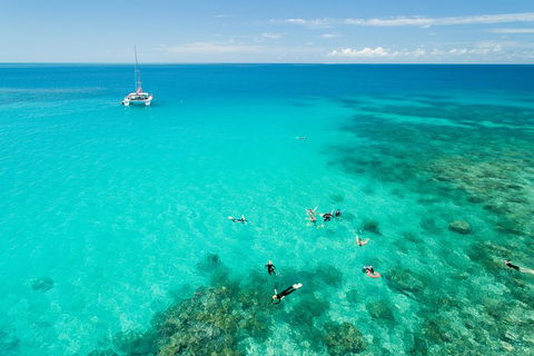 Full-Day Great Barrier Reef Sailing Trip - Accommodation Rockhampton 2