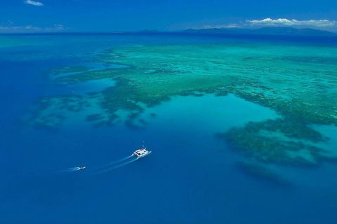 Full-Day Great Barrier Reef Sailing Trip - Accommodation Rockhampton 3