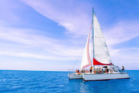 Full-Day Great Barrier Reef Sailing Trip - Accommodation Rockhampton 4
