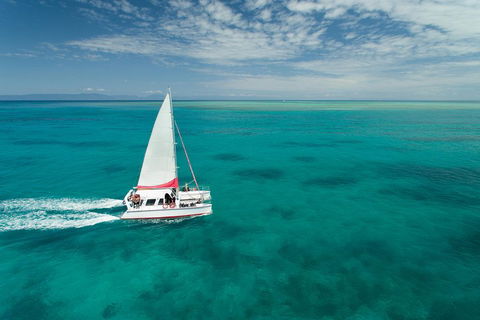 Full-Day Great Barrier Reef Sailing Trip - Accommodation Rockhampton 5