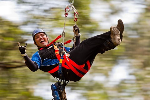 12 Apostles And Otway Fly Zipline Day Trip From Melbourne - Accommodation Rockhampton 0