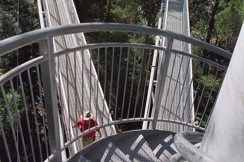 12 Apostles And Otway Fly Zipline Day Trip From Melbourne - Accommodation Rockhampton 2