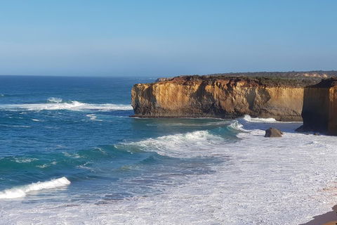 12 Apostles And Otway Fly Zipline Day Trip From Melbourne - Accommodation Rockhampton 4