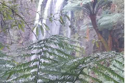 2 Day Great Ocean Road Tour And Platypus Paddle - Accommodation Rockhampton 1