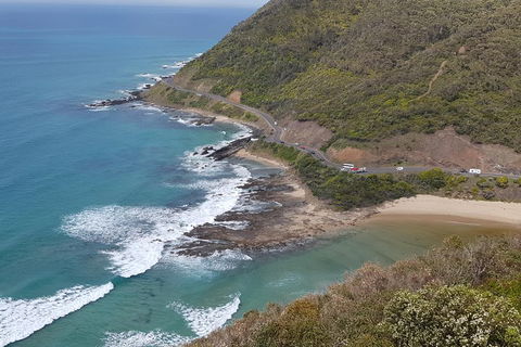 2 Day Great Ocean Road Tour And Platypus Paddle - Accommodation Rockhampton 2