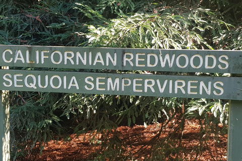2 Day Great Ocean Road Tour And Platypus Paddle - Accommodation Rockhampton 5