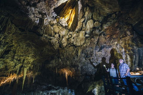 Ngilgi Cave Semi-guided Tour - Accommodation Rockhampton 0