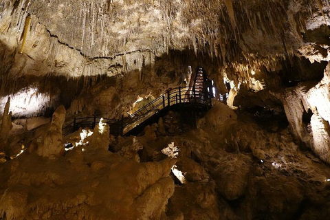 Ngilgi Cave Semi-guided Tour - Accommodation Rockhampton 2