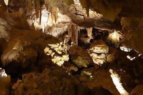 Ngilgi Cave Semi-guided Tour - Accommodation Rockhampton 3