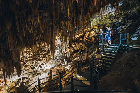 Ngilgi Cave Semi-guided Tour - Accommodation Rockhampton 5