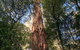 Ultimate Reverse Direction - 12 Apostles, Great Ocean Road - Small Group Tour - thumb 2