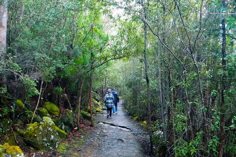 Kunanyi/Mt Wellington Tour & Hobart Hop-On Hop-Off Bus - Accommodation Rockhampton 1