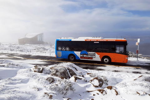 Kunanyi/Mt Wellington Tour & Hobart Hop-On Hop-Off Bus - Accommodation Rockhampton 2