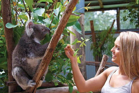 Private Guided Tour: Blue Mountains Tour From Sydney - Accommodation Rockhampton 5