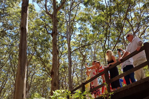 The All About Margaret River Tour: Wine, Coffee, Lunch And Forest - Accommodation Rockhampton 3