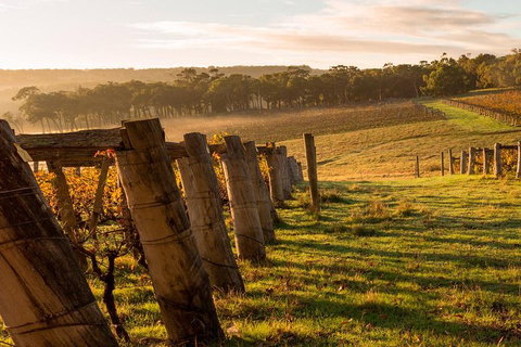 The All About Margaret River Tour: Wine, Coffee, Lunch And Forest - Accommodation Rockhampton 5