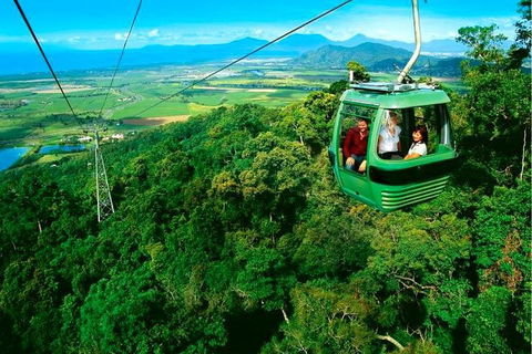 4-Day Cairns Ultimate Combo: Daintree Rainforest, Reef, Kuranda & Paronella Park - Accommodation Rockhampton 1