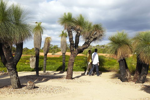 1 Day Exclusively Private Tour Of Phillip Island & The Penguin Parade - Accommodation Rockhampton 0
