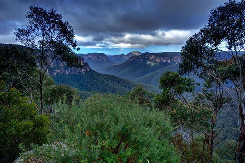 Ultimate Blue Mountains And Wildlife Tour - Accommodation Rockhampton 1